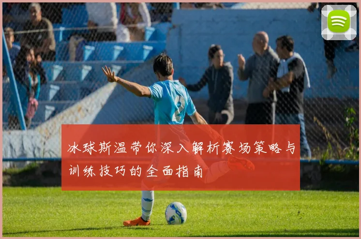 冰球斯温带你深入解析赛场策略与训练技巧的全面指南