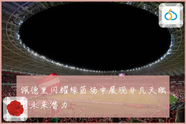 佩德里闪耀绿茵场中展现非凡天赋与未来潜力