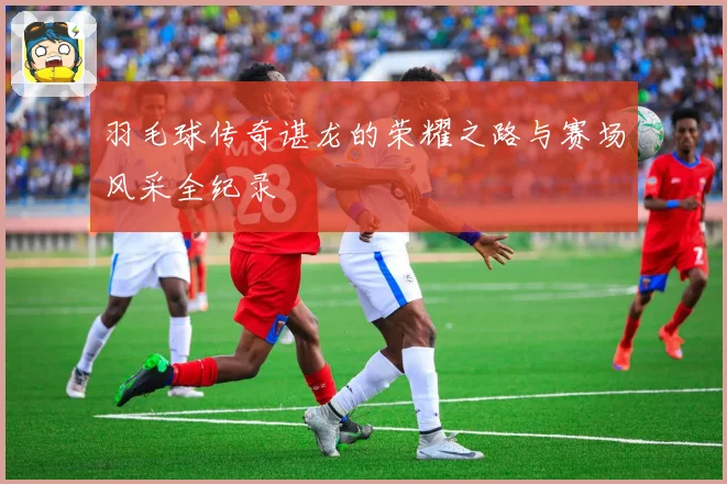 羽毛球传奇谌龙的荣耀之路与赛场风采全纪录