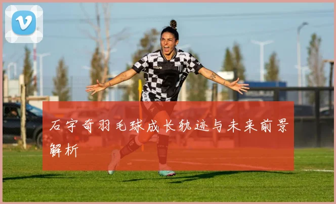 石宇奇羽毛球成长轨迹与未来前景解析