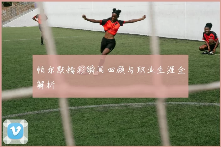 帕尔默精彩瞬间回顾与职业生涯全解析