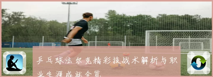 乒乓球法尔克精彩技战术解析与职业生涯成就全览
