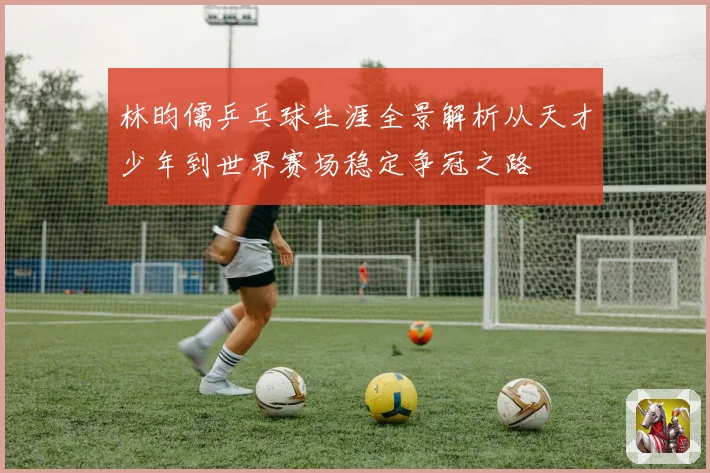 林昀儒乒乓球生涯全景解析从天才少年到世界赛场稳定争冠之路