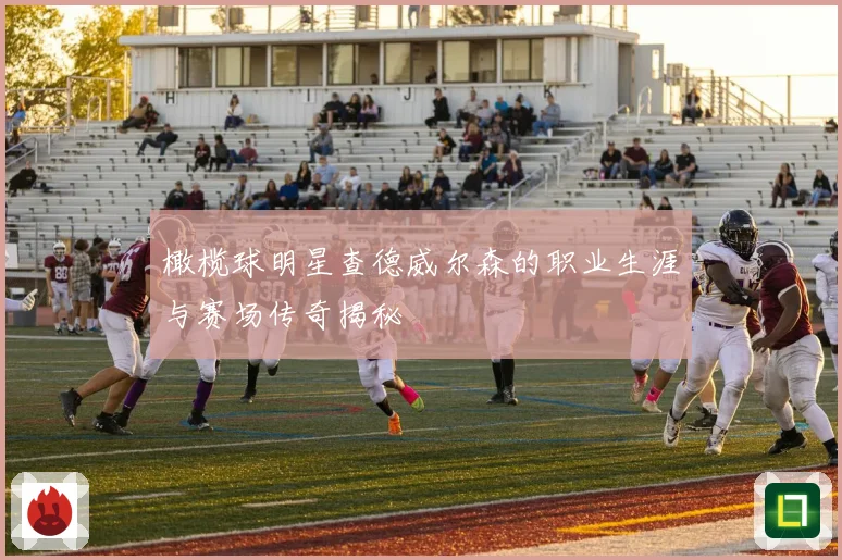 橄榄球明星查德威尔森的职业生涯与赛场传奇揭秘