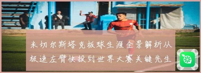 米切尔斯塔克板球生涯全景解析从极速左臂快投到世界大赛关键先生之路