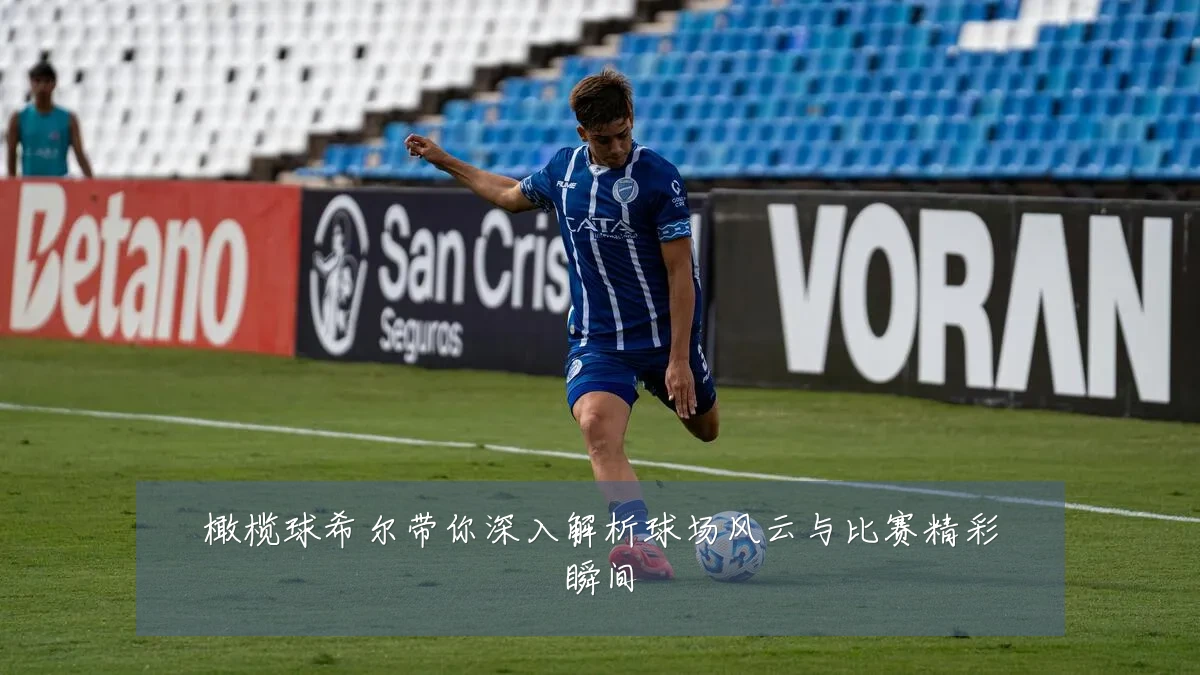 橄榄球希尔带你深入解析球场风云与比赛精彩瞬间