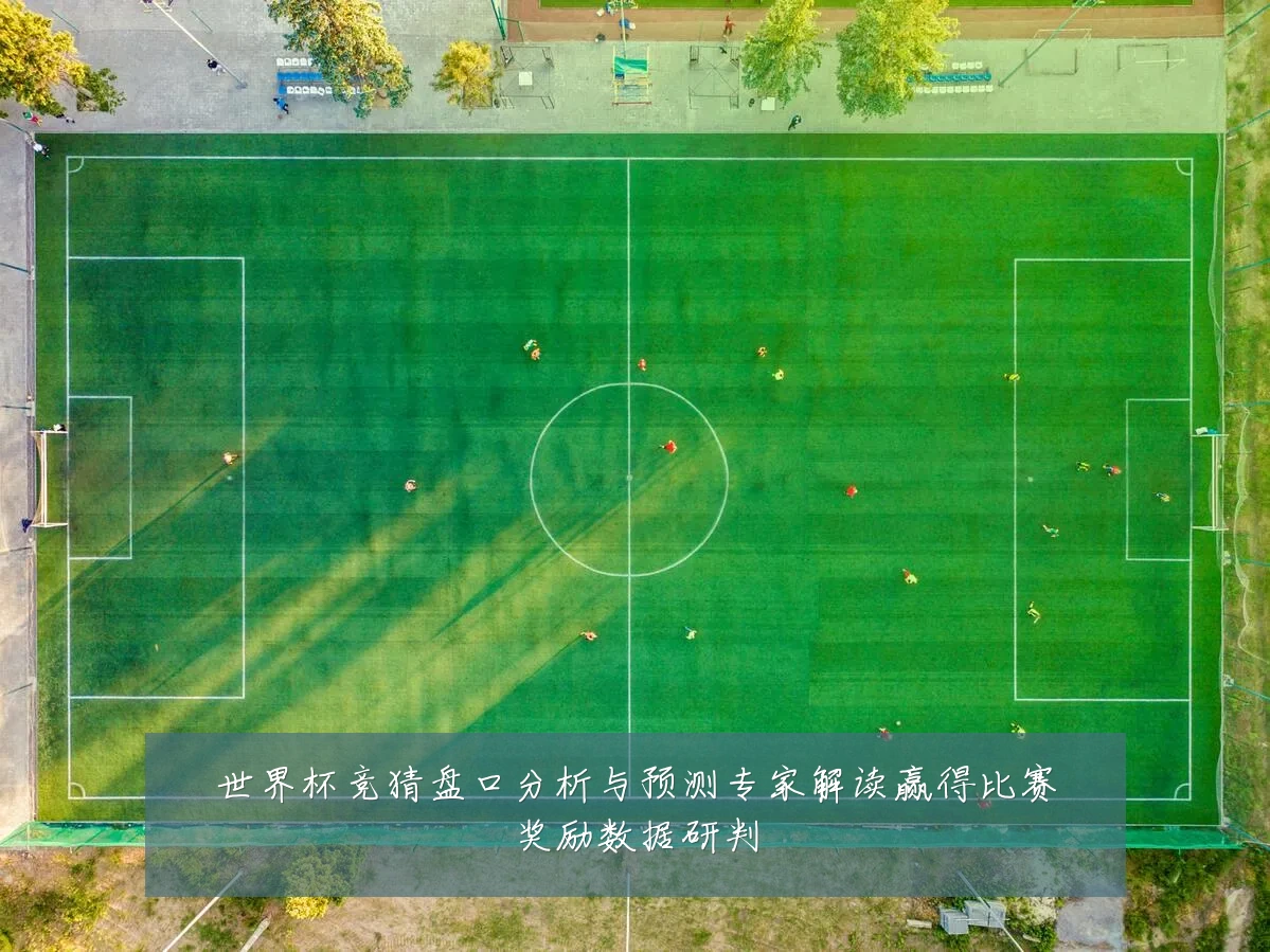 世界杯竞猜盘口分析与预测专家解读赢得比赛奖励数据研判